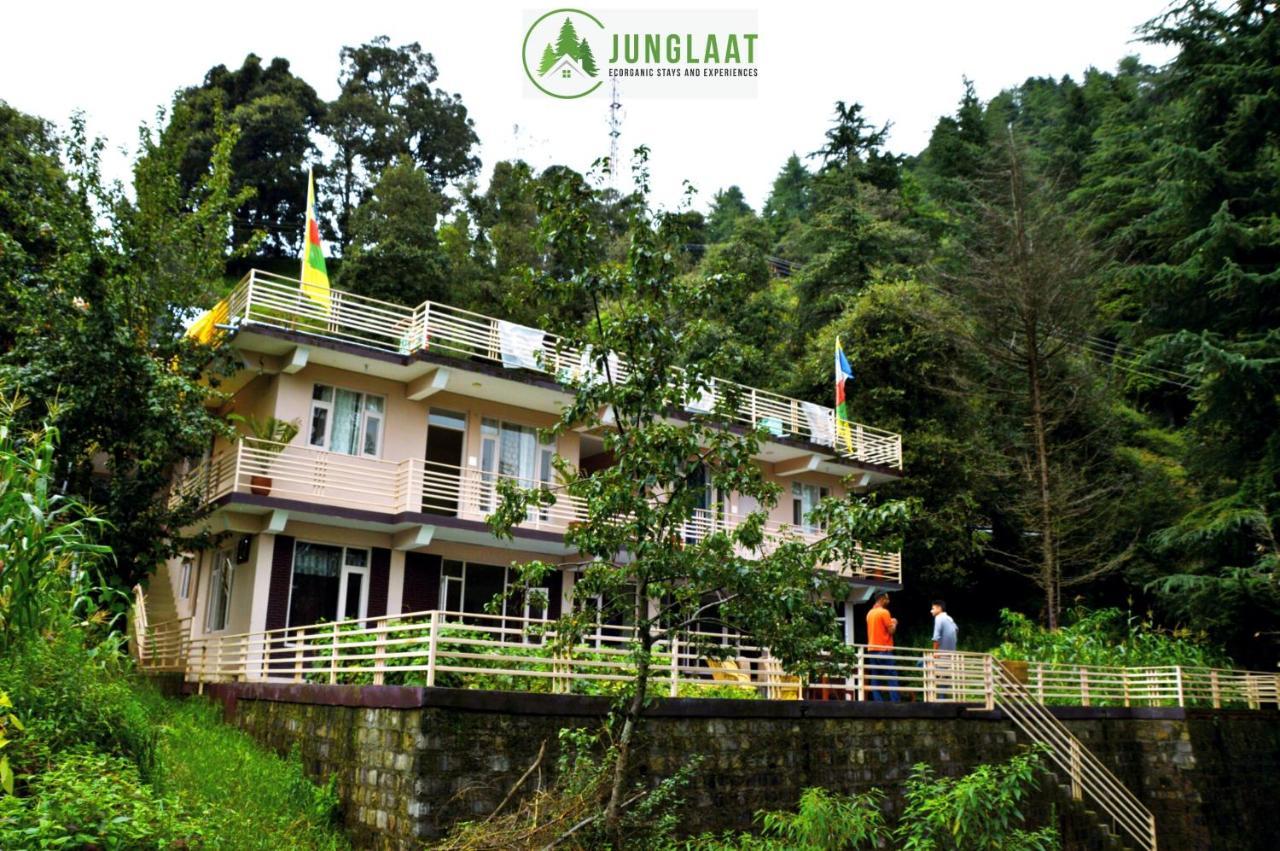 Junglaat Stays & Experiences Dharamsala Exteriér fotografie