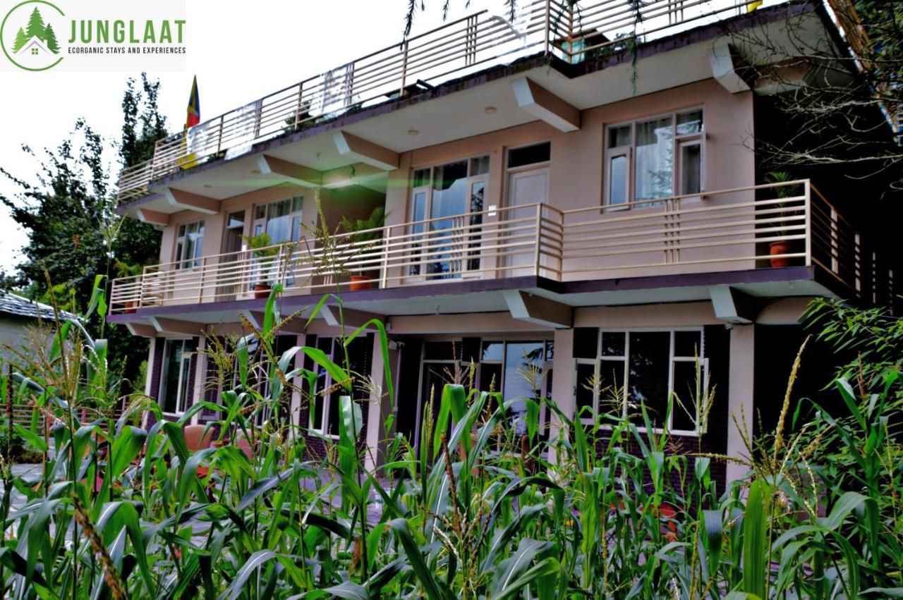 Junglaat Stays & Experiences Dharamsala Exteriér fotografie